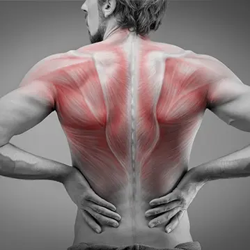 Tratamientos de Osteopatía en Pozuelo