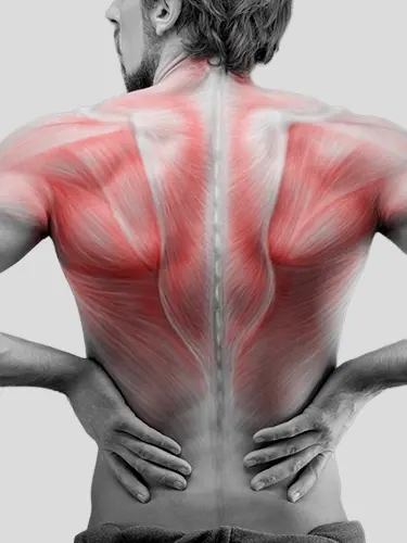 Osteópatas en Pozuelo
